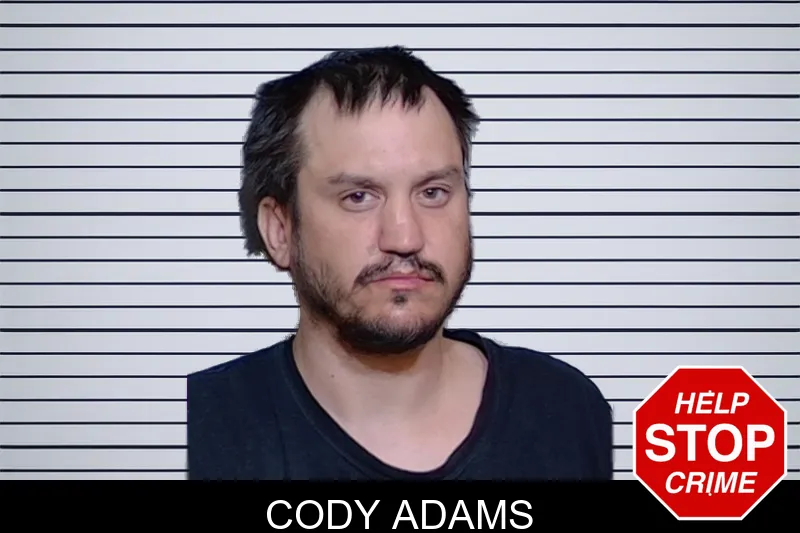 Cody Adams mugshot