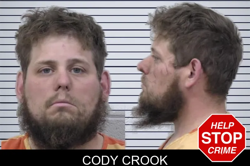 Cody Crook mugshot