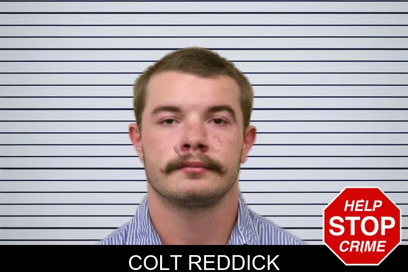 Colt Reddick mugshot – Bulloch County , Georgia Colt Reddick mugshot