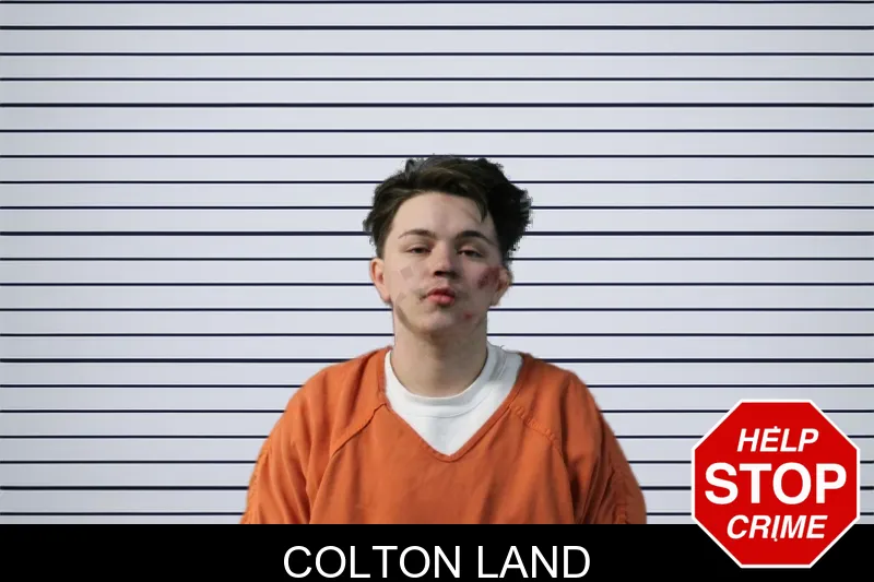 Colton Land mugshot