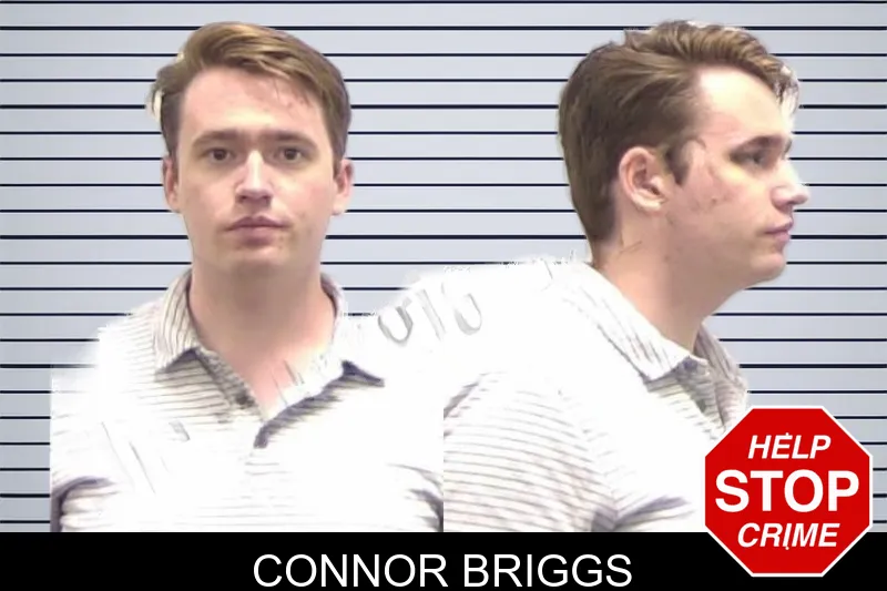 Connor Briggs mugshot