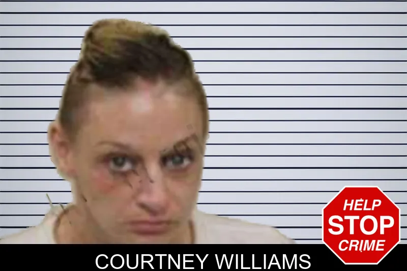 Courtney Williams mugshot