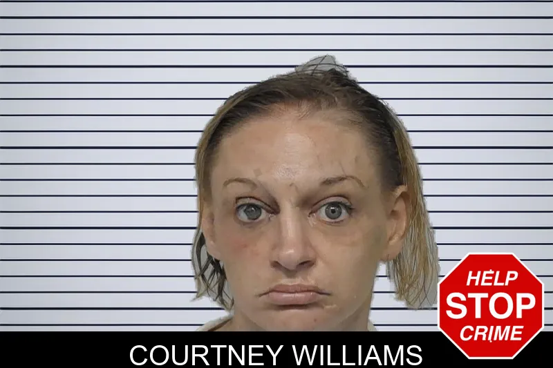 Courtney Williams mugshot – Peach County , Georgia Courtney Williams mugshot