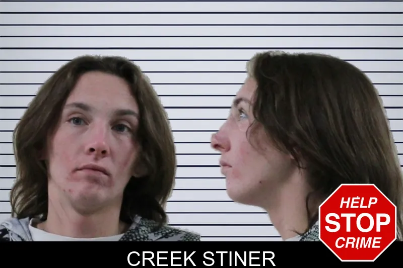 Creek Stiner mugshot