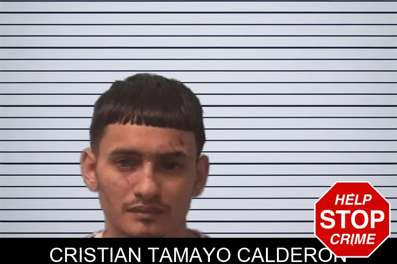 Cristian Tamayo Calderon mugshot