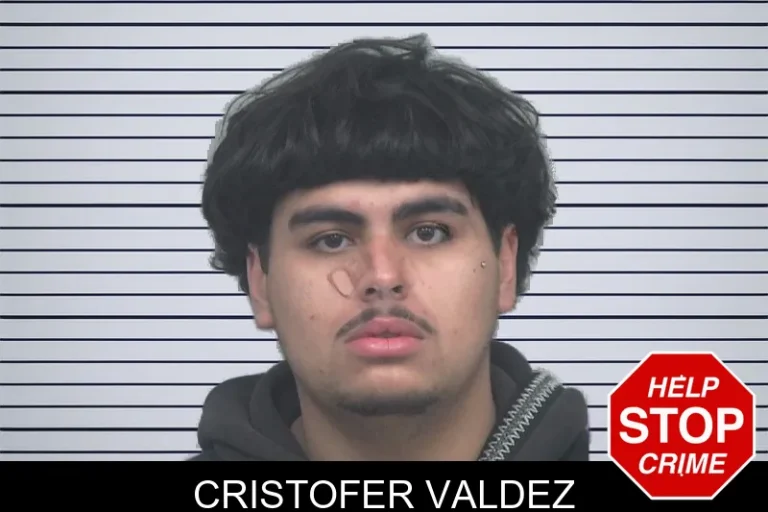 Cristofer Valdez mugshot – Gwinnett County , Georgia Cristofer Valdez