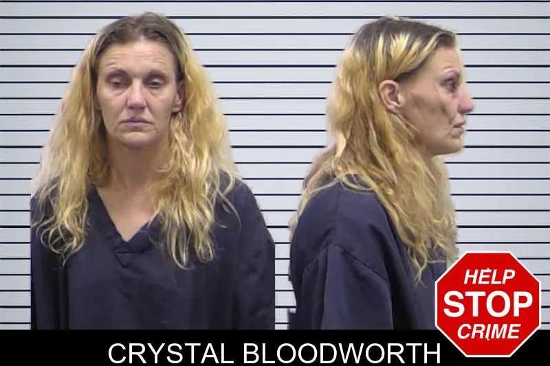 Crystal Bloodworth mugshot – Clarke County , Georgia Crystal Bloodworth mugshot