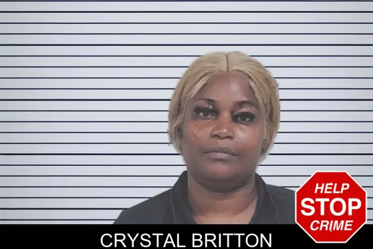 Crystal Britton mugshot – Lowndes County , Georgia Crystal Britton