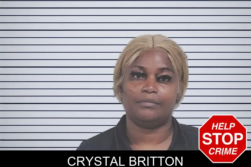 Crystal Britton mugshot – Lowndes County , Georgia Crystal Britton mugshot