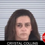 Crystal Collins mugshot