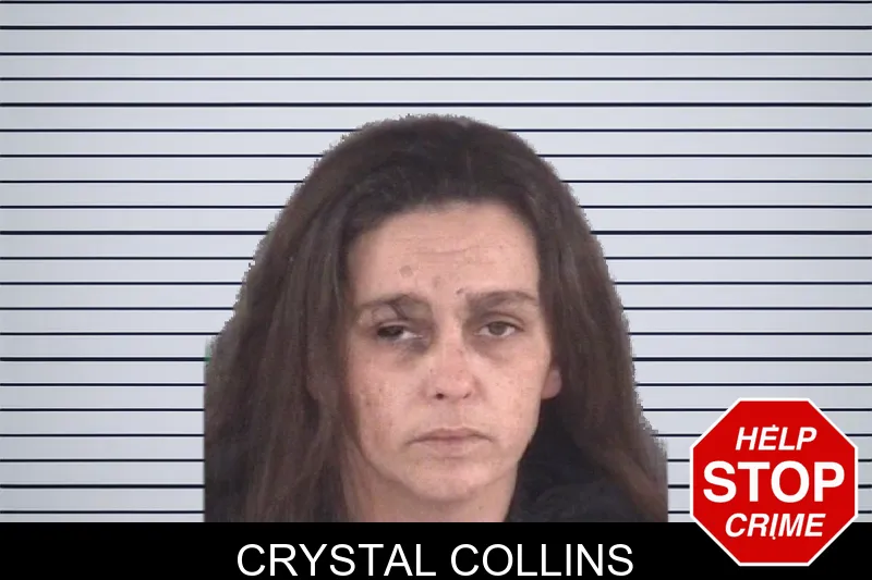 Crystal Collins mugshot