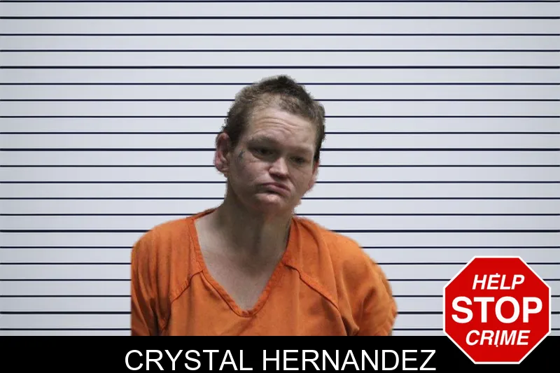 Crystal Hernandez mugshot – Murray County , Georgia Crystal Hernandez mugshot