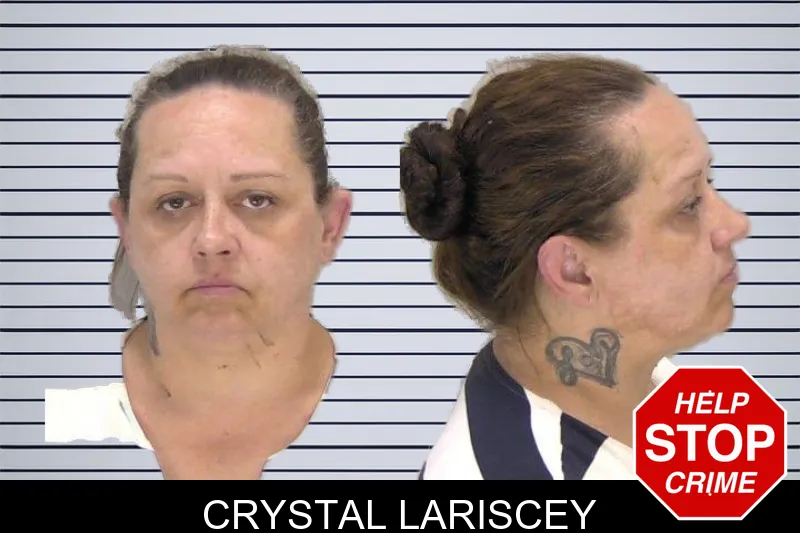 Crystal Lariscey mugshot