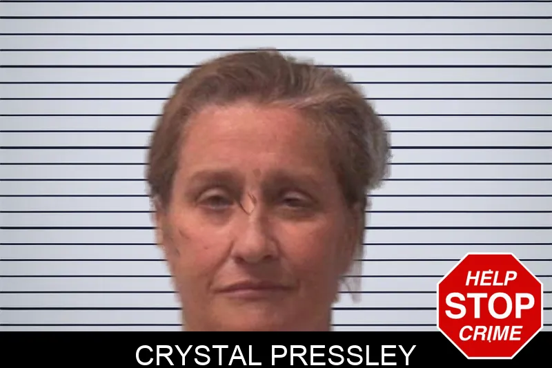 Crystal Pressley mugshot – Franklin County , Georgia Crystal Pressley mugshot