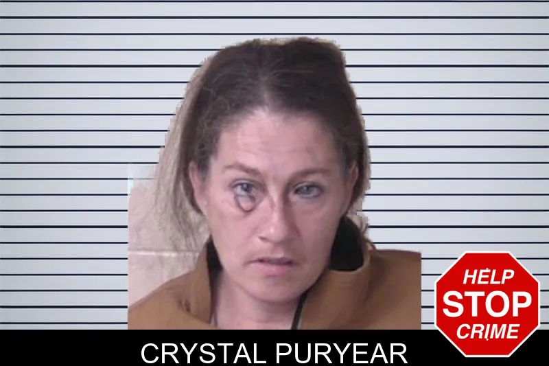Crystal Puryear mugshot – Walker County , Georgia Crystal Puryear mugshot