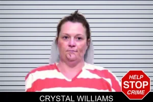 Crystal Williams mugshot