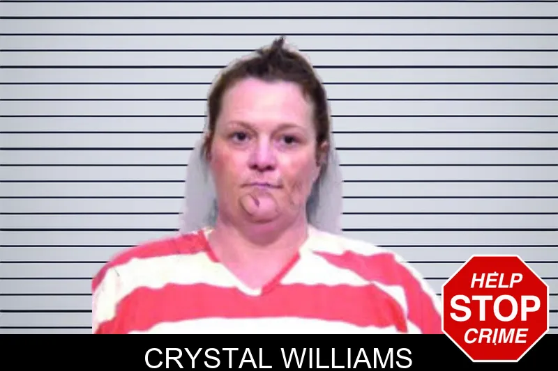 Crystal Williams mugshot