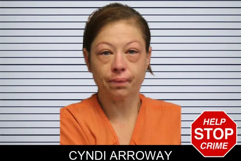 Cyndi Arroway mugshot β Lumpkin County , Georgia Cyndi Arroway