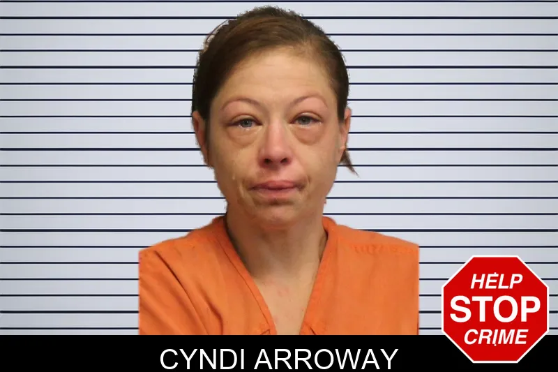 Cyndi Arroway mugshot – Lumpkin County , Georgia Cyndi Arroway mugshot