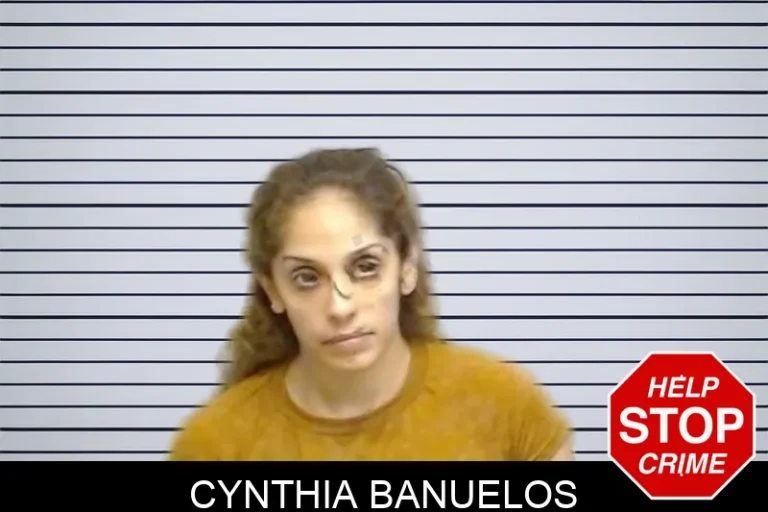 Cynthia Banuelos mugshot – Fulton County , Georgia Cynthia Banuelos