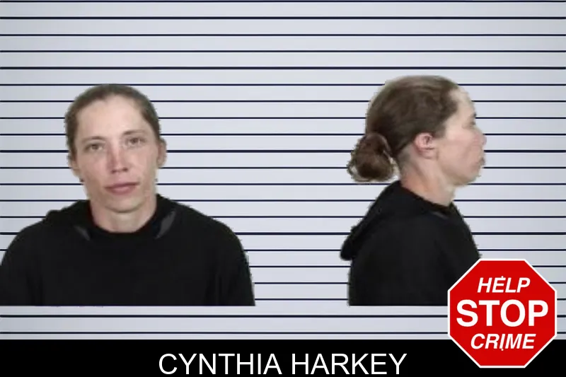Cynthia Harkey mugshot