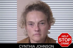 Cynthia Johnson mugshot