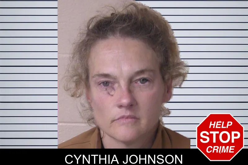 Cynthia Johnson mugshot