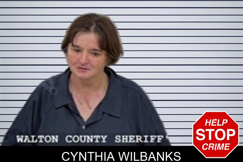 Cynthia Wilbanks mugshot