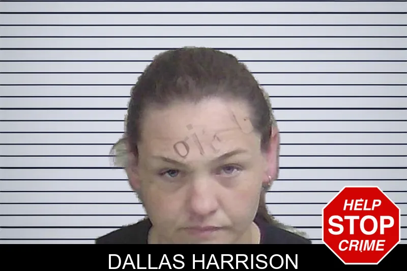 Dallas Harrison mugshot