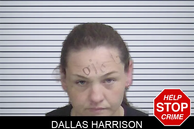 Dallas Harrison mugshot