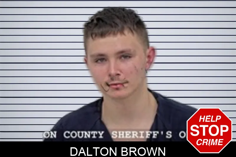 Dalton Brown mugshot – Walton County , Georgia Dalton Brown mugshot