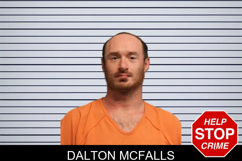 Dalton McFalls mugshot