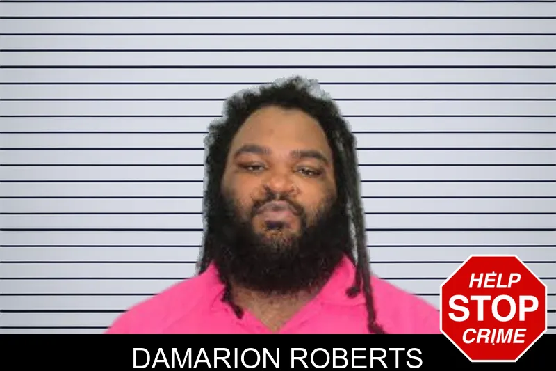 Damarion Roberts mugshot – Lee County , Georgia Damarion Roberts mugshot