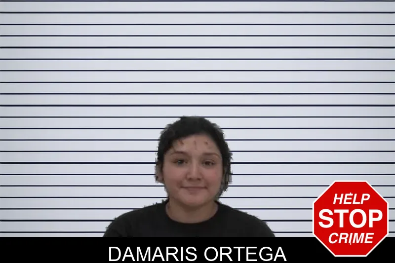 Damaris Ortega mugshot – Coffee County , Georgia Damaris Ortega mugshot