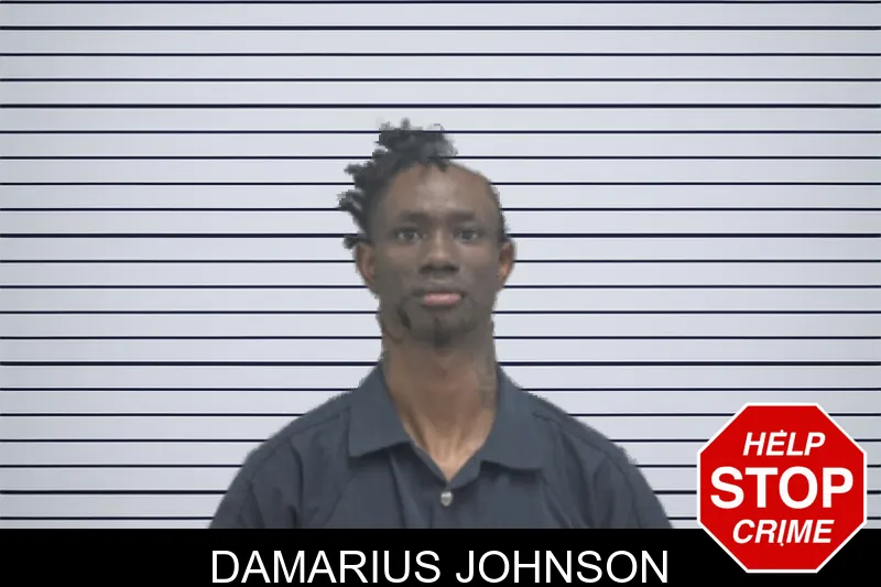 Damarius Johnson mugshot