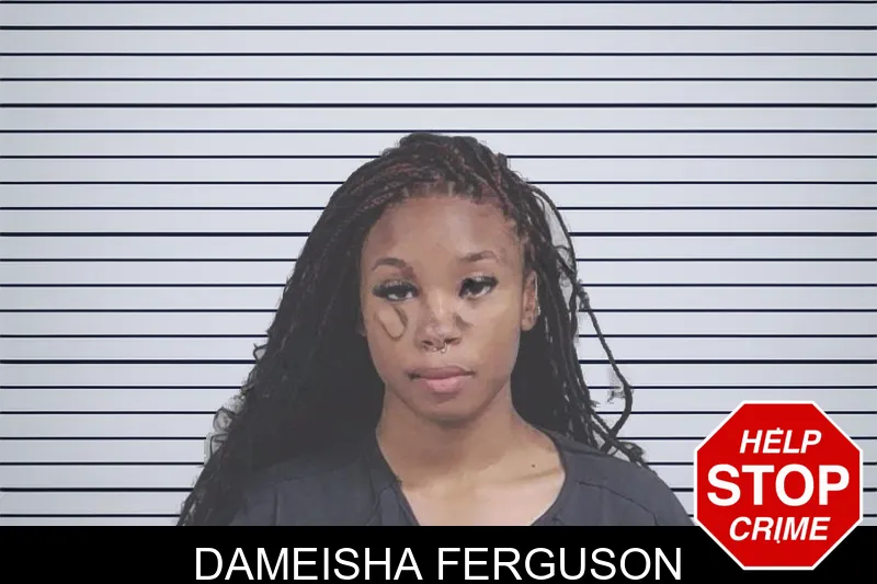 Dameisha Ferguson mugshot – Lowndes County , Georgia Dameisha Ferguson mugshot