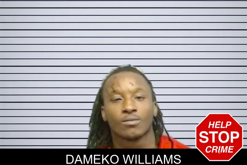 Dameko Williams mugshot