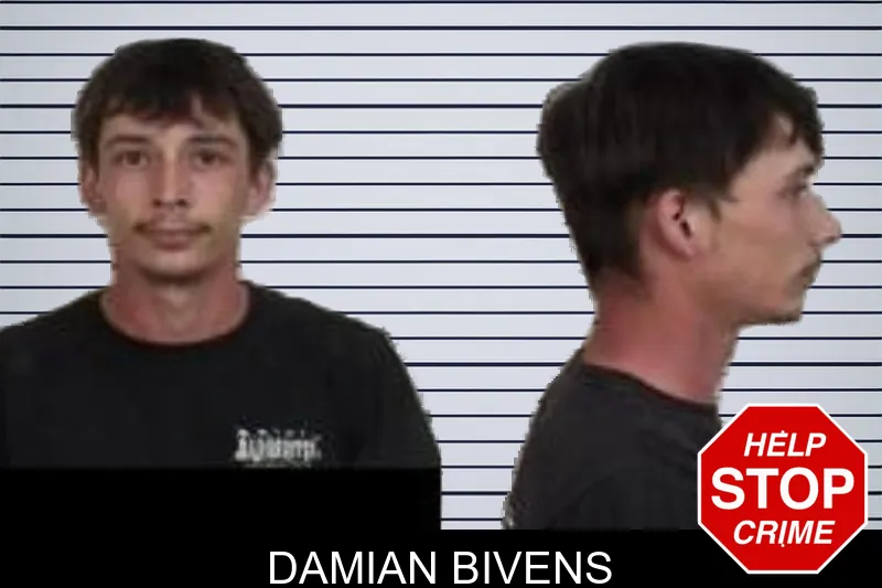 Damian Bivens mugshot