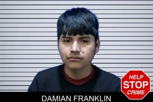 Damian Franklin mugshot