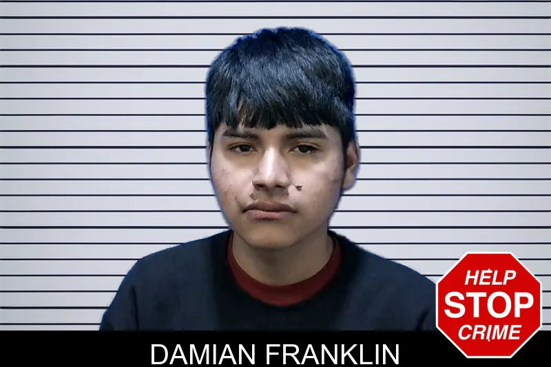 Damian Franklin mugshot