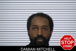 Damian Mitchell mugshot