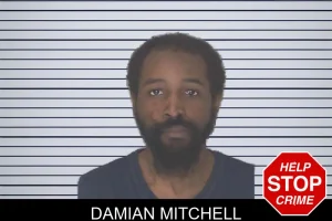 Damian Mitchell mugshot
