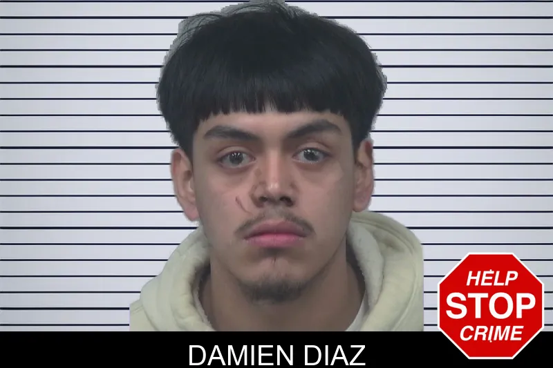 Damien Diaz mugshot