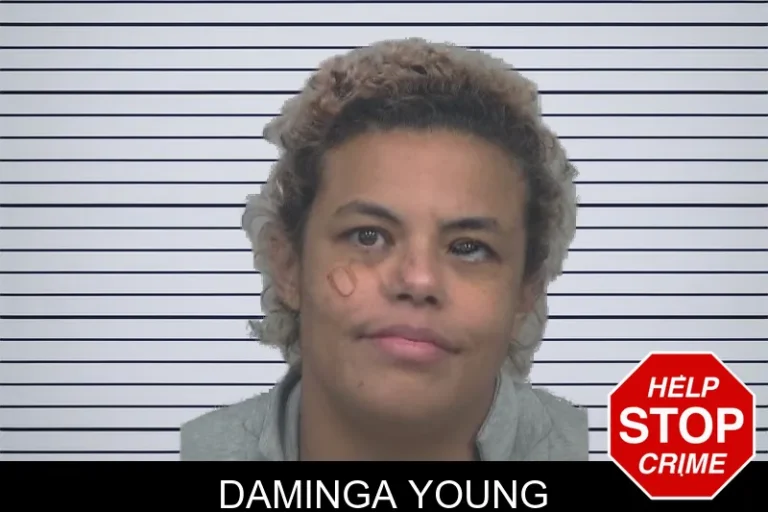 Daminga Young mugshot – Gwinnett County , Georgia Daminga Young