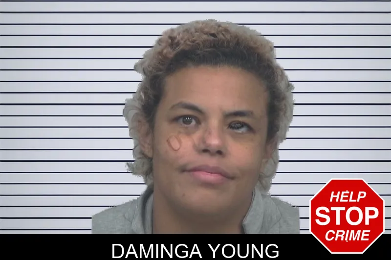 Daminga Young mugshot