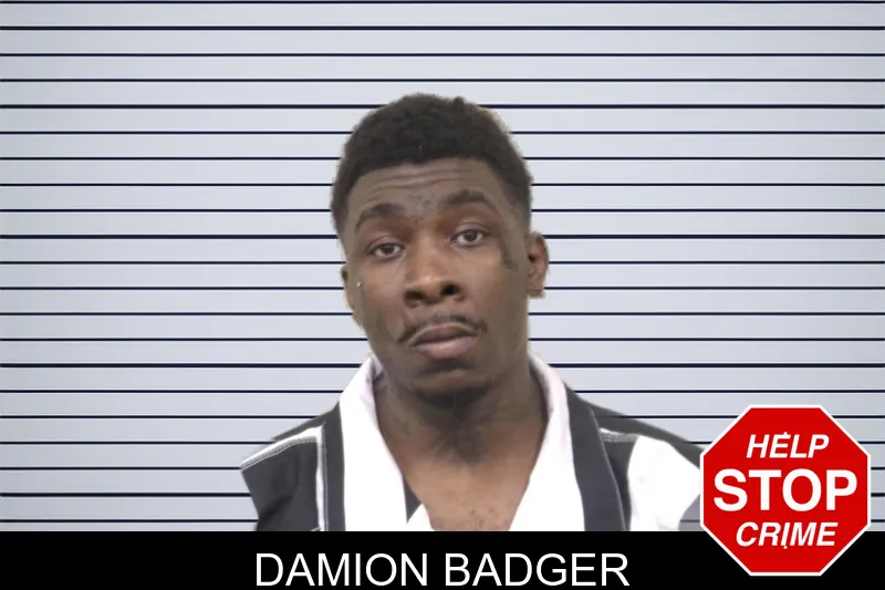 Damion Badger mugshot – Bulloch County , Georgia Damion Badger mugshot