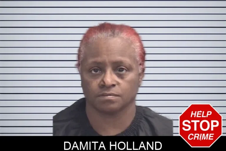 Damita Holland