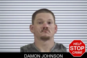 Damon Johnson mugshot