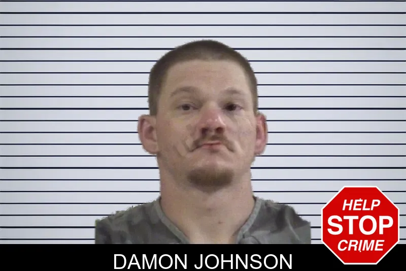 Damon Johnson mugshot