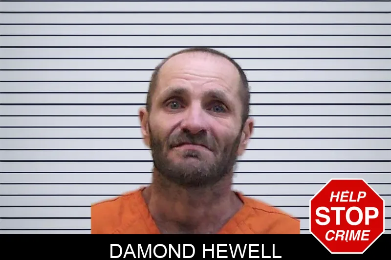 Damond Hewell mugshot